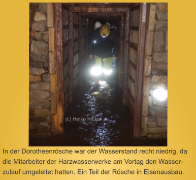 (c) Heiko Nickel  In der Dorotheenrsche war der Wasserstand recht niedrig, da die Mitarbeiter der Harzwasserwerke am Vortag den Wasser-zulauf umgeleitet hatten. Ein Teil der Rsche in Eisenausbau.